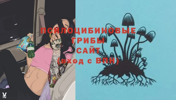 прущие крисы Медвежьегорск