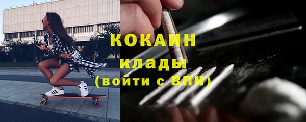прущие крисы Медвежьегорск
