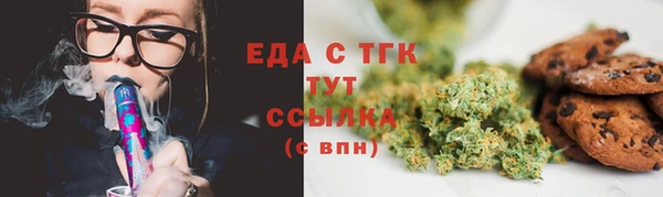 крисы Мегион