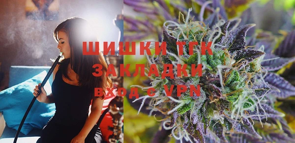 крисы Мегион
