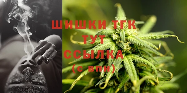 крисы Мегион
