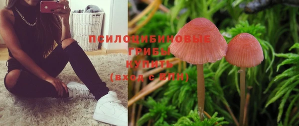 крисы Мегион